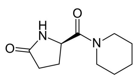 fasoracetam